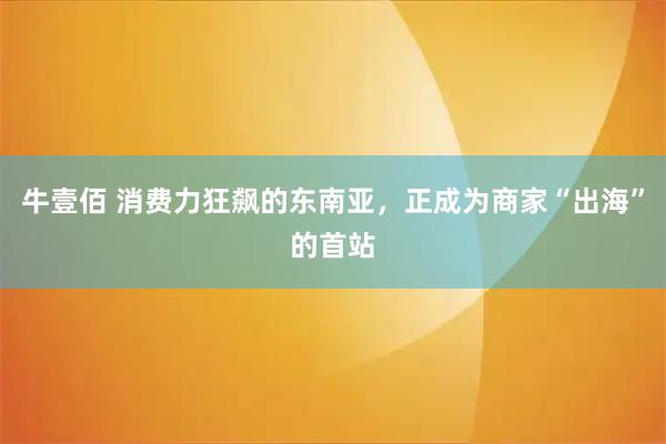 牛壹佰 消费力狂飙的东南亚，正成为商家“出海”的首站