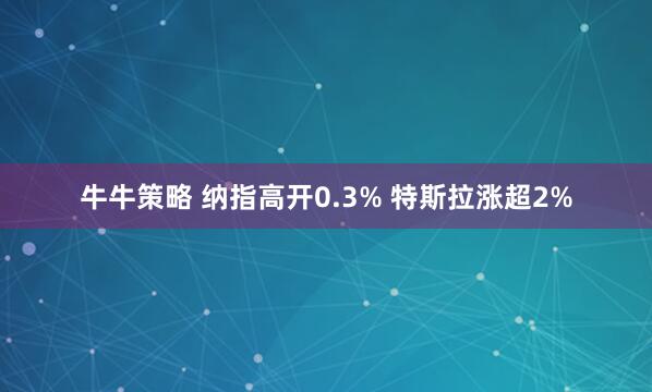 牛牛策略 纳指高开0.3% 特斯拉涨超2%