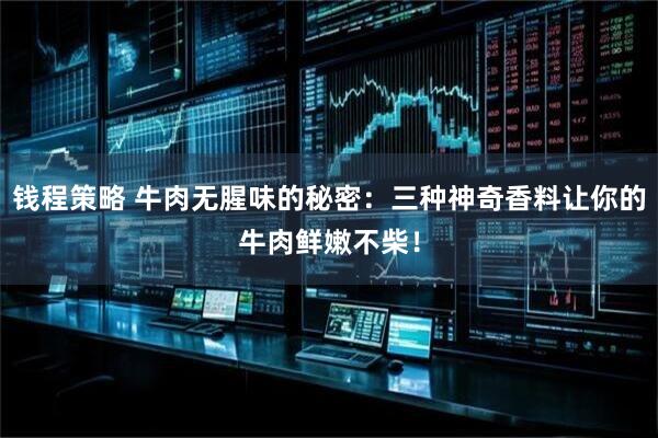 钱程策略 牛肉无腥味的秘密：三种神奇香料让你的牛肉鲜嫩不柴！