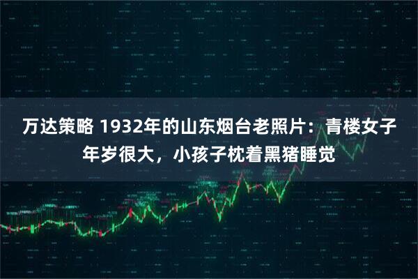 万达策略 1932年的山东烟台老照片：青楼女子年岁很大，小孩子枕着黑猪睡觉