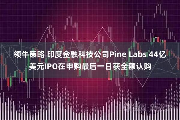 领牛策略 印度金融科技公司Pine Labs 44亿美元IPO在申购最后一日获全额认购